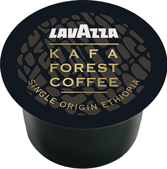 Kafa Forest Coffee